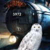Jerry Fabrics Bavlněná froté osuška 70x140 cm - Harry Poter "Hedwig" Harry Potter