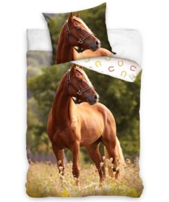 BedTex Bavlněné povlečení Kůň Ryzák