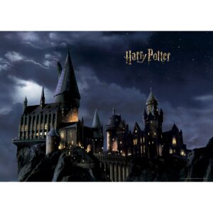 Dětská fototapeta Harry Potter 252 x 182 cm