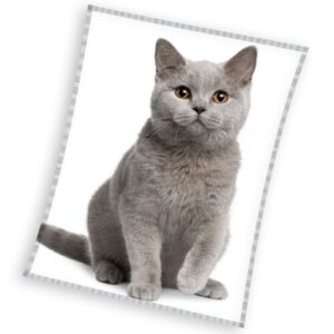 Tiptrade Mikroplyšová deka Britská kočka šedá