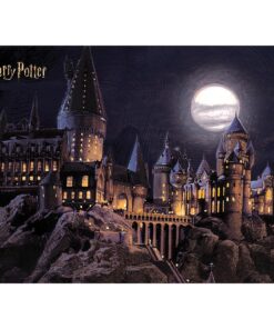 Dětská fototapeta Harry Potter Hogwarts Moon 252 x 182 cm