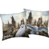 Jerry Fabrics Polštářek Harry Potter Hedwig 02